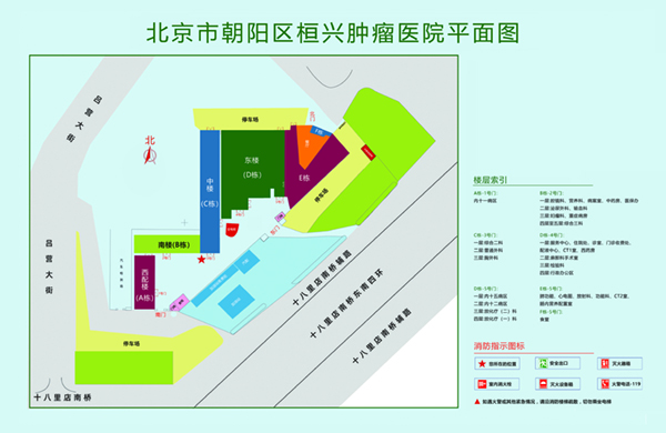 逼逼艹鸡巴免费北京市朝阳区桓兴肿瘤医院平面图